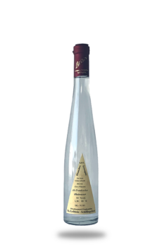 0,35 Liter Flasche mit Obstwasser